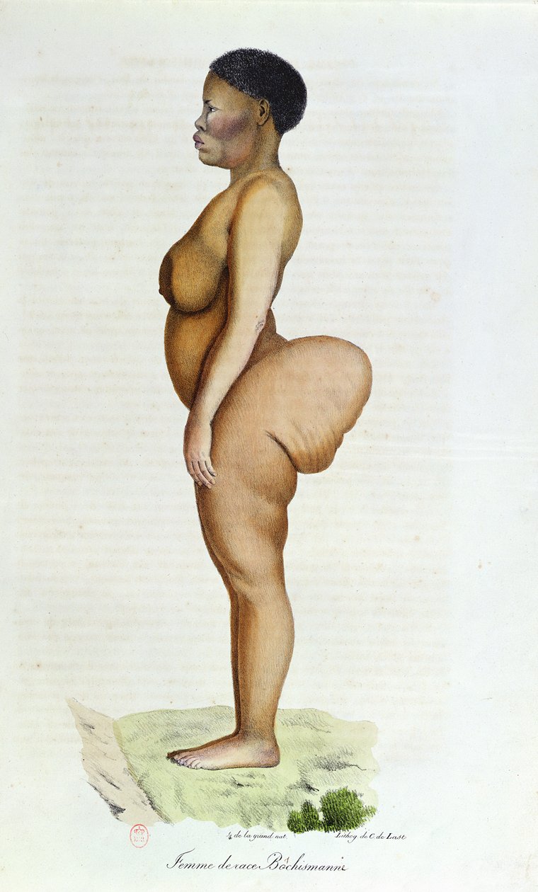 A Hottentot Vénusz, Bushman nő, Etienne Geoffroy Saint-Hilaire (1772-1844) és Frederic Cuvier (1773-1838) „L