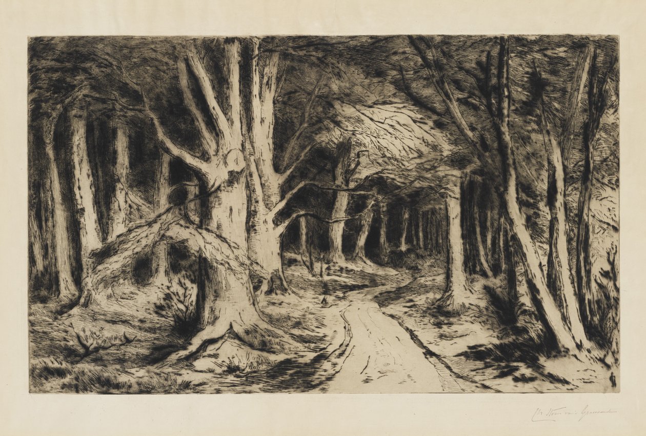 Erdei ösvény, 1885 körül alkotó: Carel Nicolaas Storm van s Gravesande