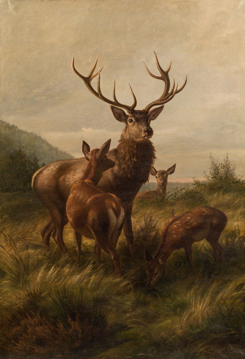 Tizenkét szárnyas hátsó alkotó: Carl Friedrich Deiker
