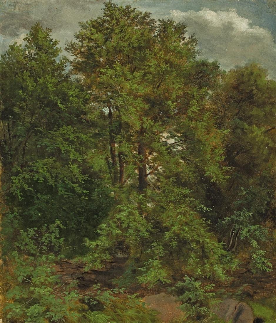 Motívum a Pillnitz Elba-szigetről alkotó: Carl Gustav Carus