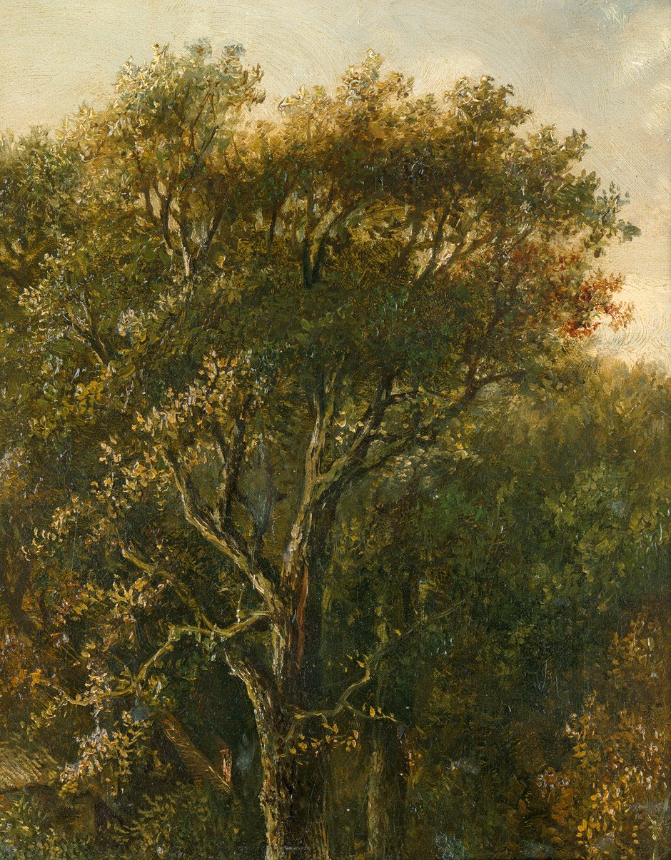 Erdei stukkó tölgyfával alkotó: Carl Gustav Carus