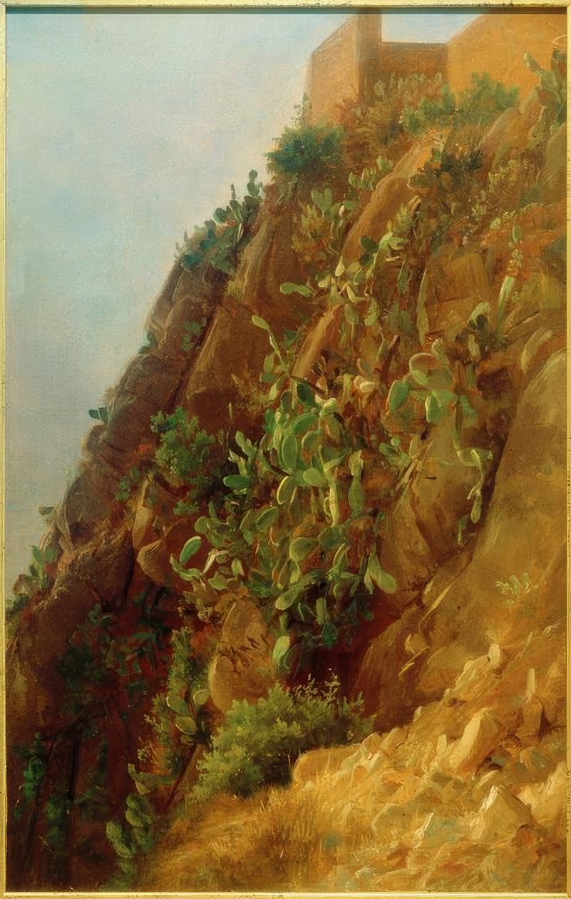 C. Morgenstern, Opuntia Capri lejtőjén alkotó: Carl Morgenstern