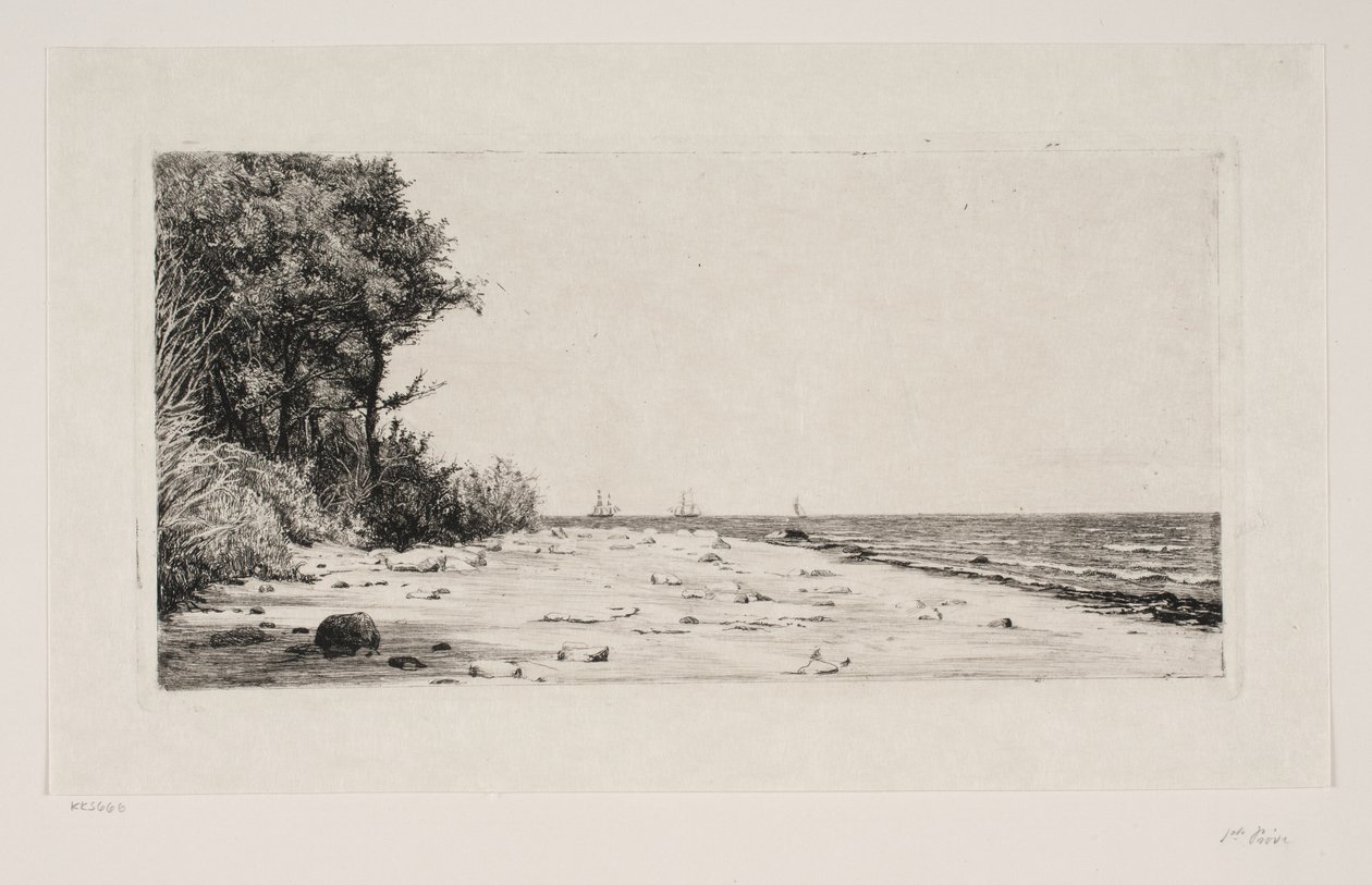 Zéland északi partjáról. Hornbæk ültetvény alkotó: Carl Bloch