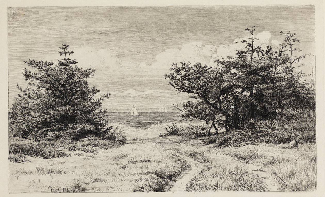 Kilátás a tengerre alkotó: Carl Bloch