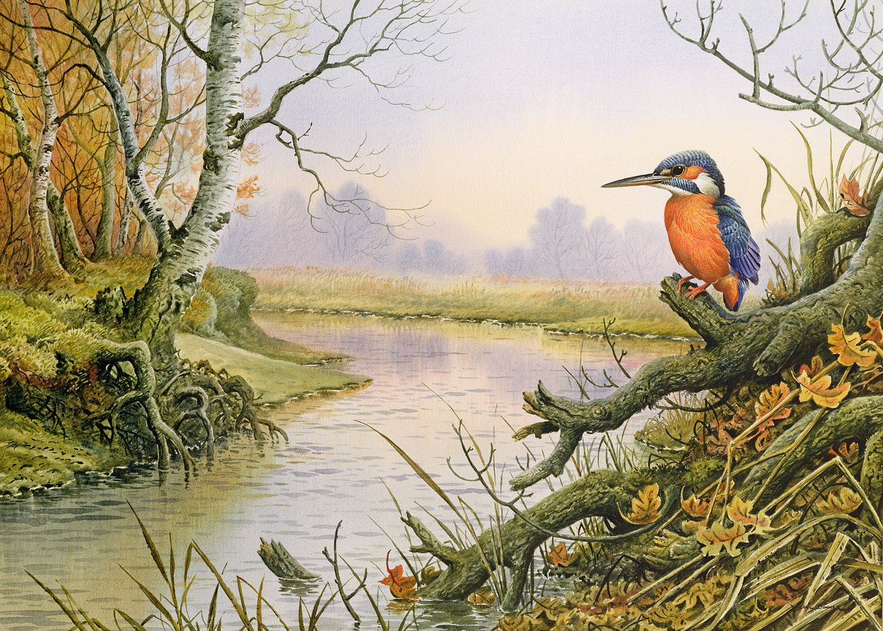 Kingfisher: Őszi folyó jelenet alkotó: Carl Donner