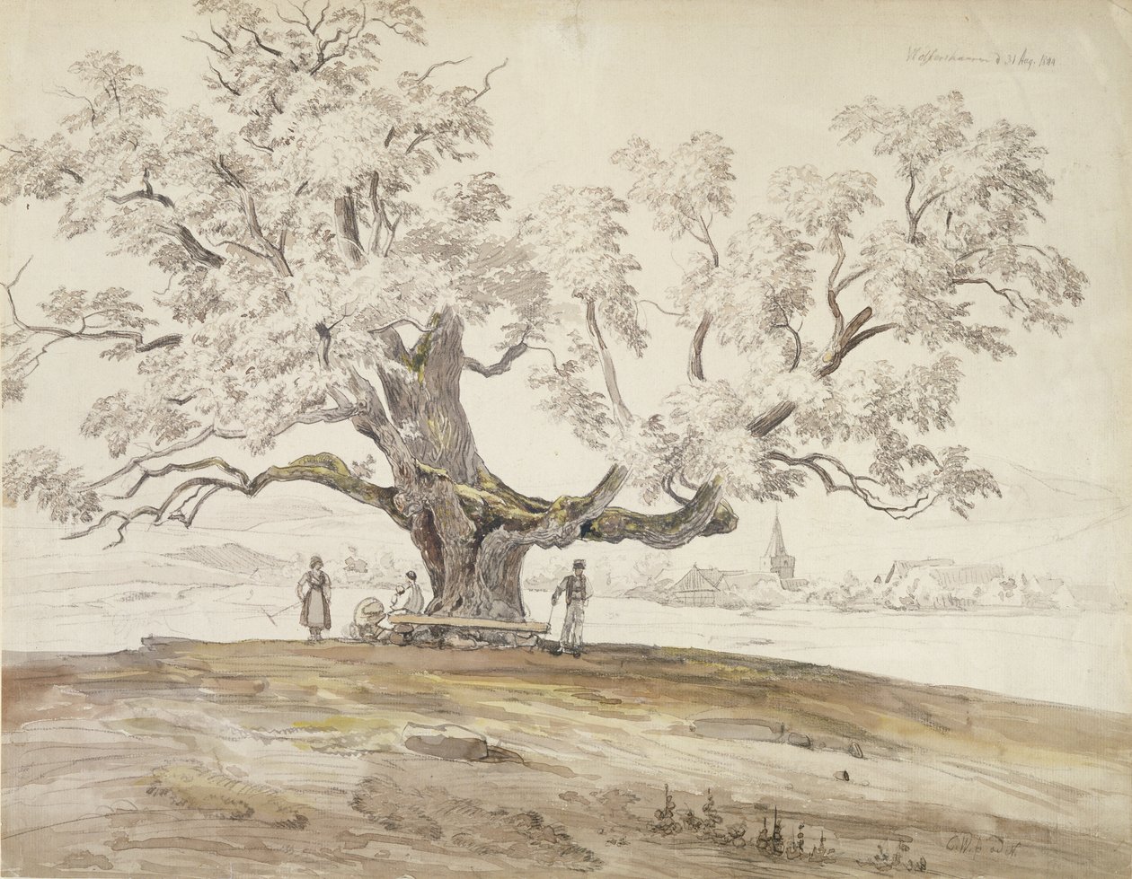 Wolfershausen bei Meiningen képe egy öreg tölgyfával, 1844 (grafit és wc papíron) alkotó: Carl Ernst Ludwig Wagner