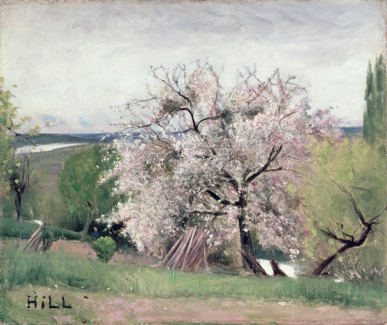 Gyümölcsfa Blossomban, Bois-le-Roiban alkotó: Carl Fredrik Hill