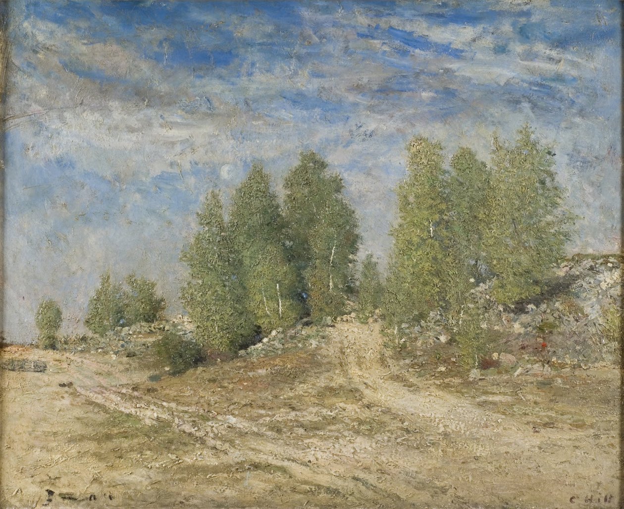 Kavicsos lejtő alkotó: Carl Fredrik Hill