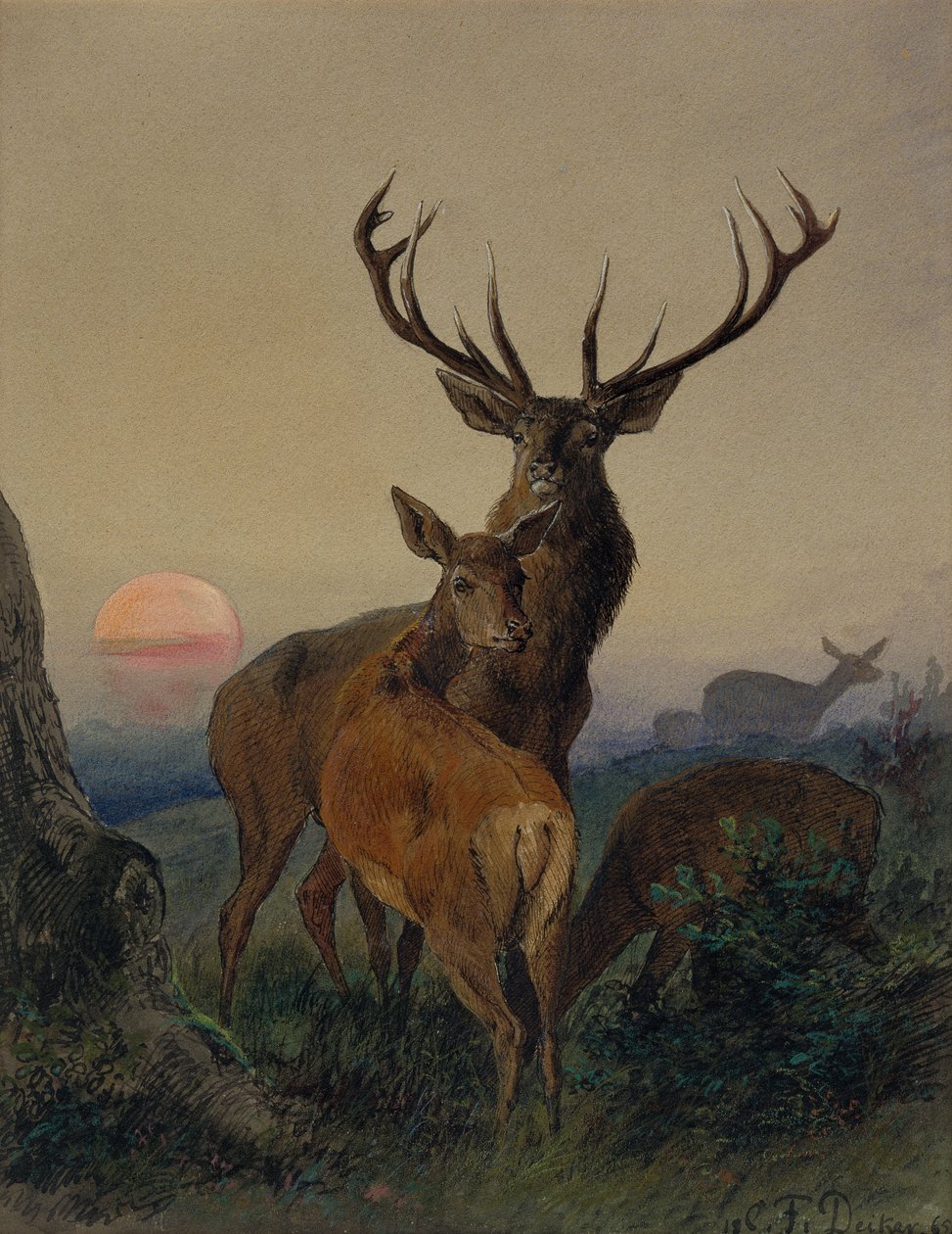 Egy szarvas szarvas erdős tájon naplementekor alkotó: Carl Friedrich Deiker
