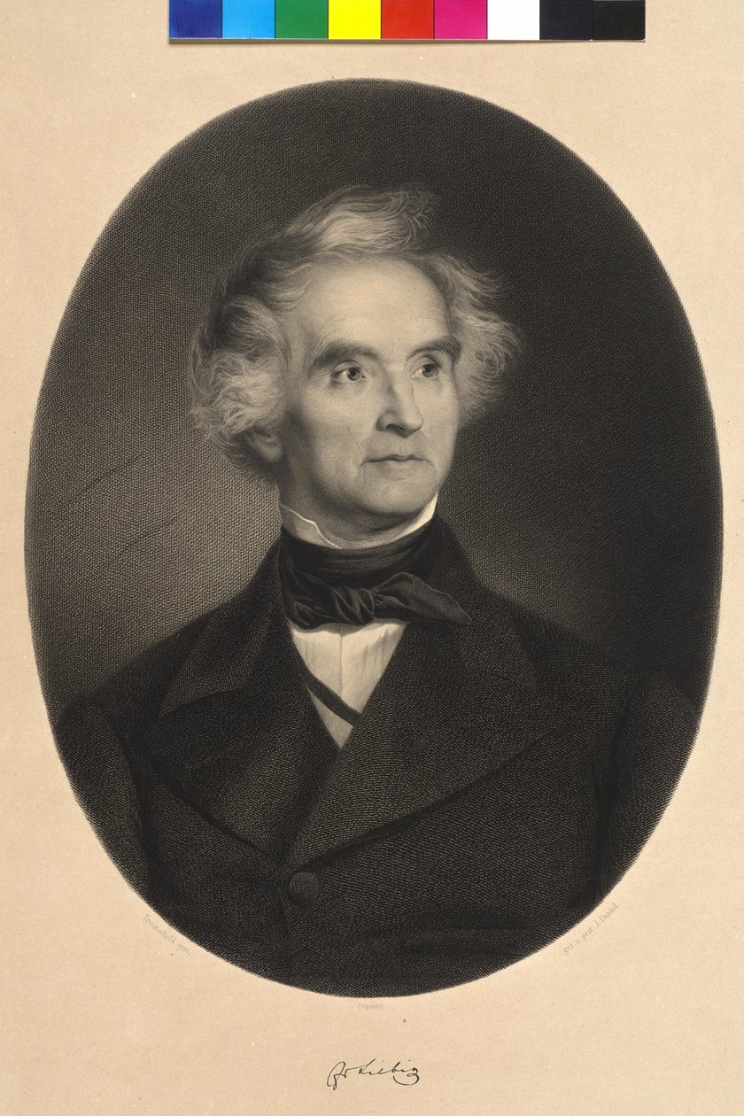 Justus Baron von Liebig alkotó: Carl Friedrich Wilhelm (after) Trautschold