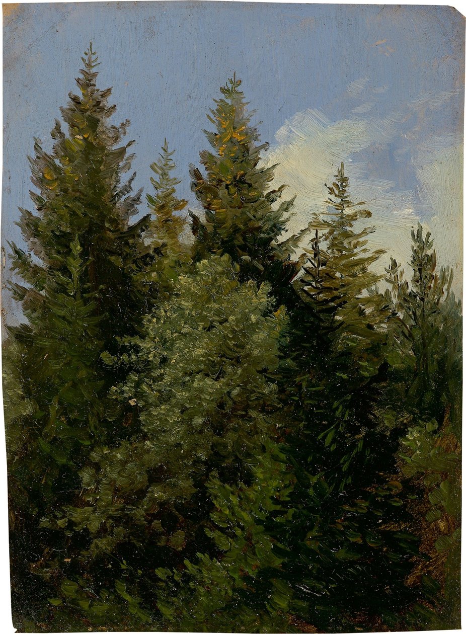 Firs alkotó: Carl Gustav Carus