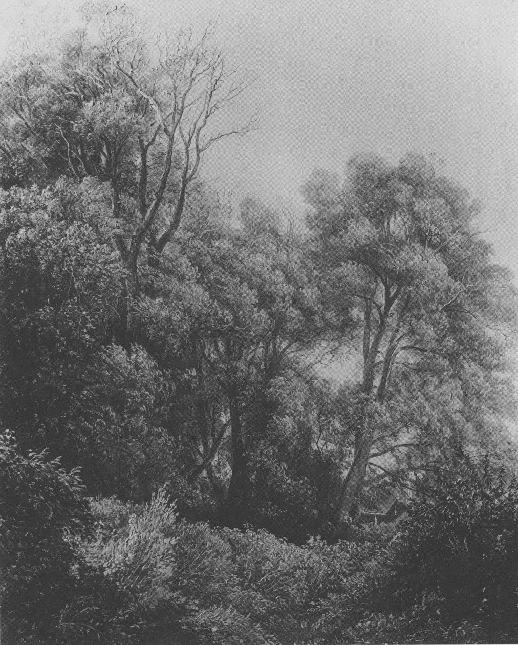 Pillnitz az Elba-szigeten Carl Gustav Carus 1840 alkotó: Carl Gustav Carus