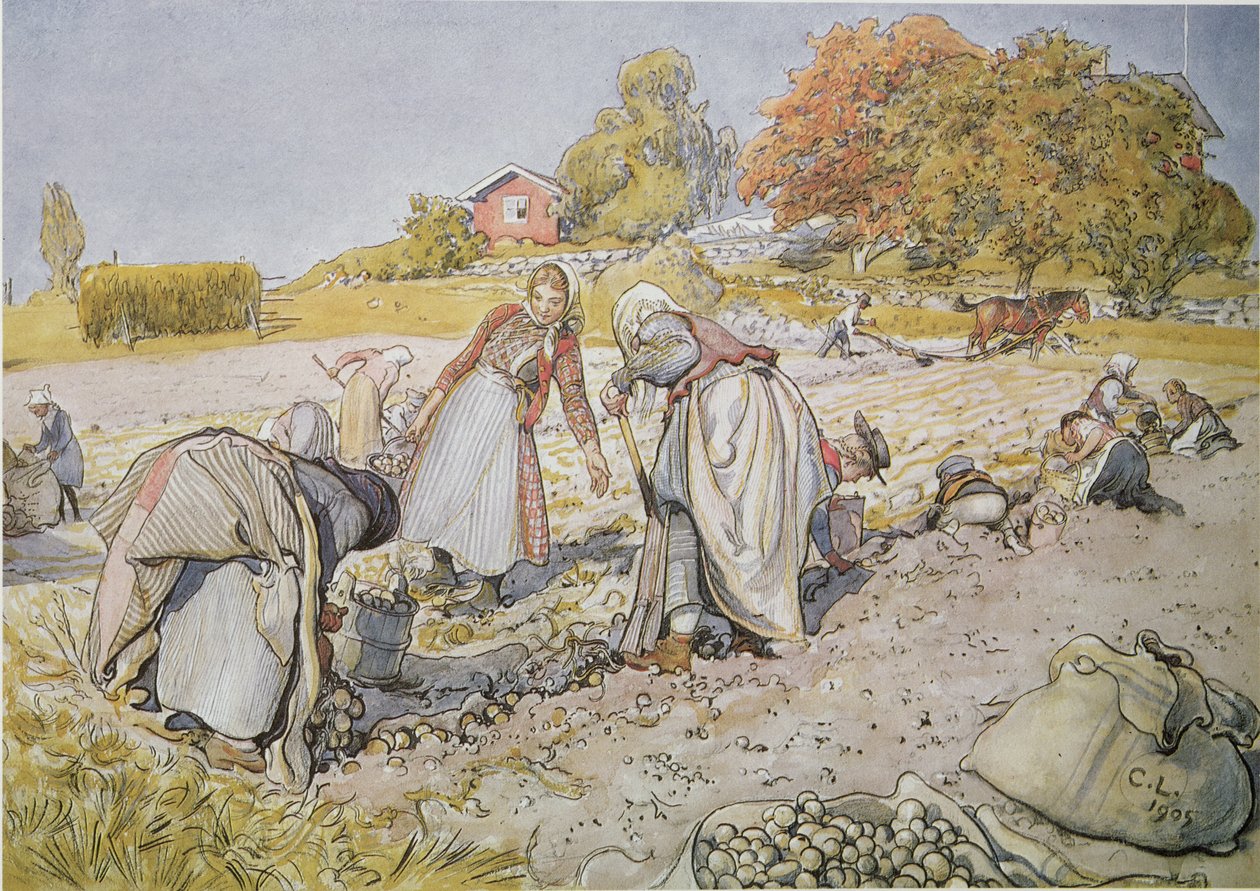 Burgonya ásása alkotó: Carl Larsson