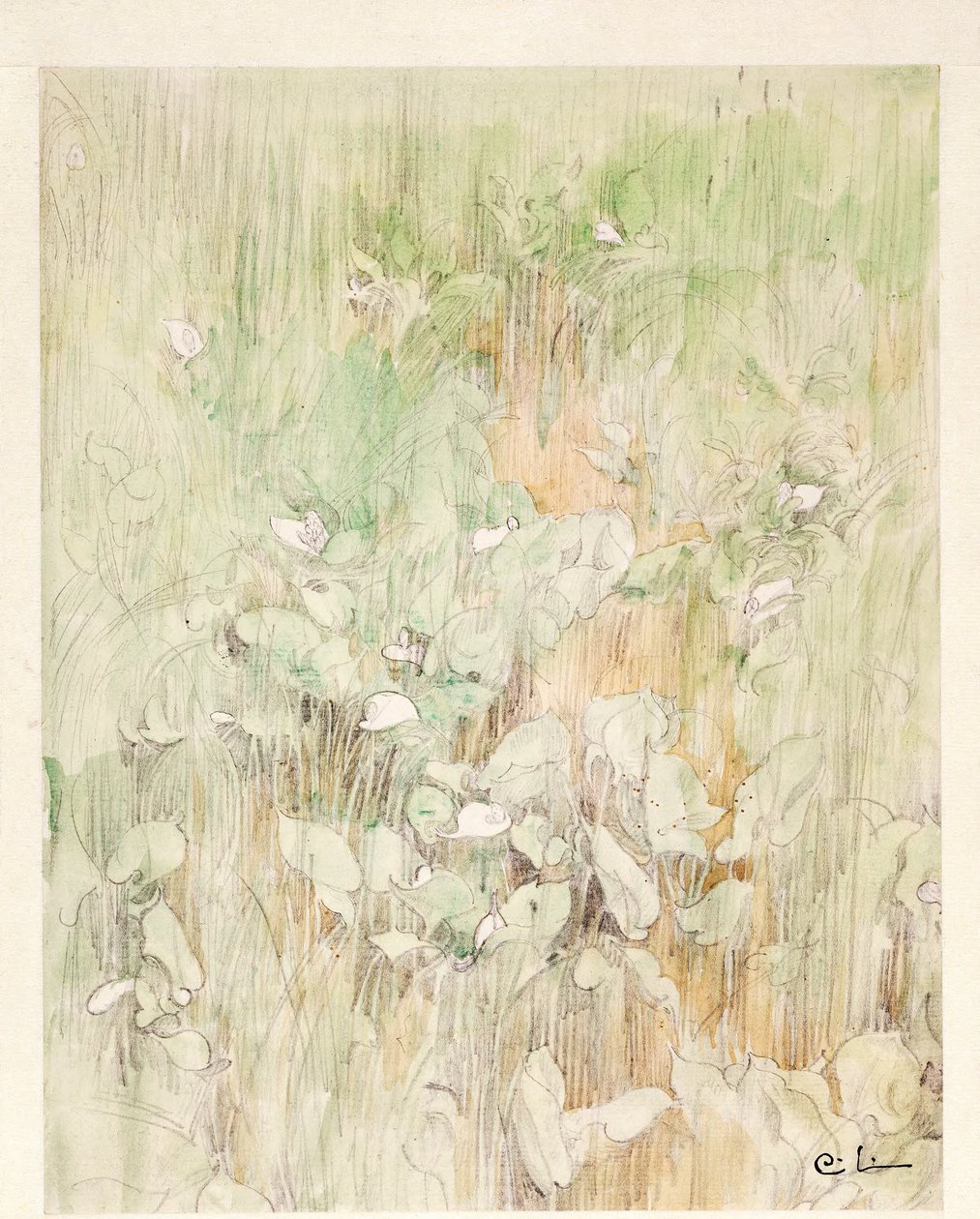 Kallor alkotó: Carl Larsson