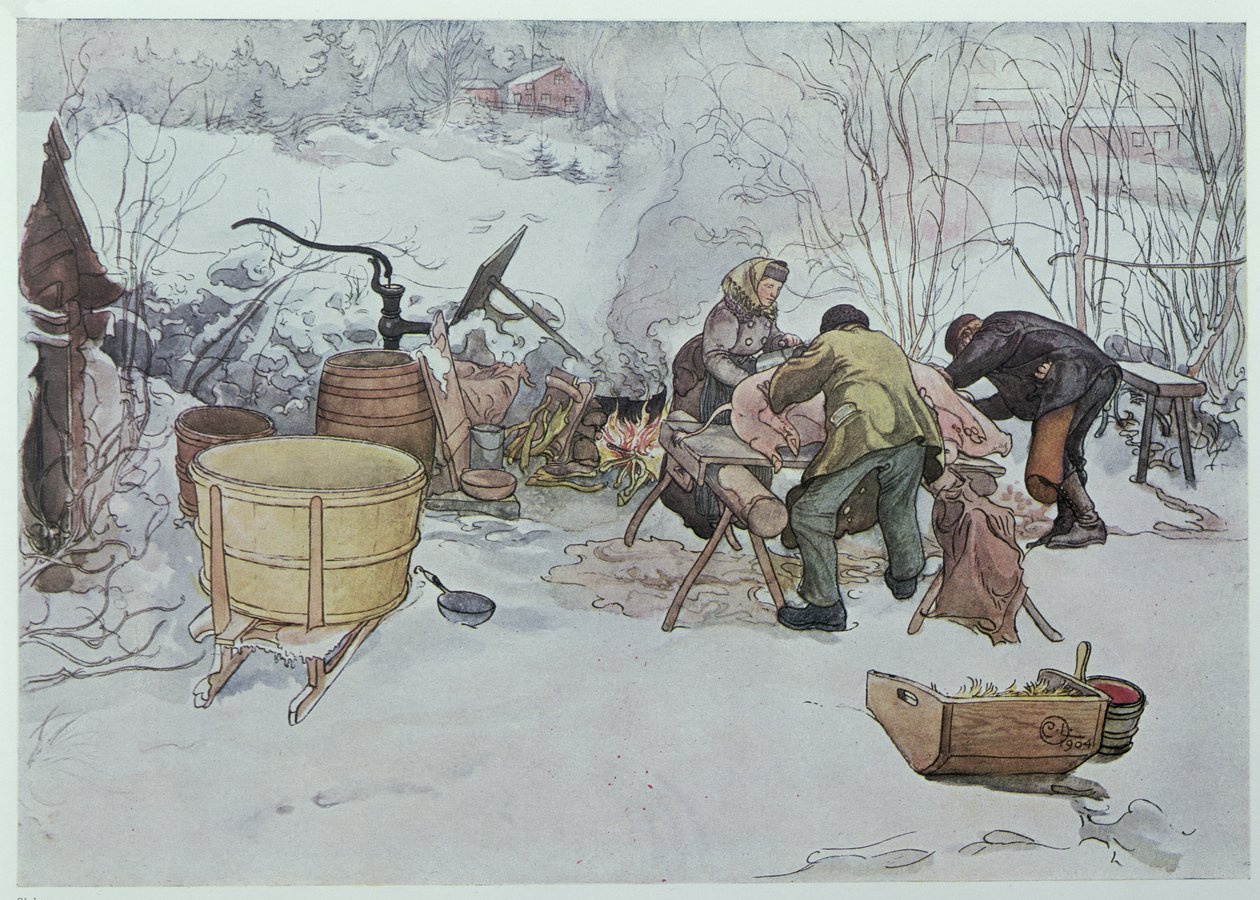 „Killing the Pig”, illusztráció a „My Little Farm”-hoz, Svédországban, 1904 alkotó: Carl Larsson