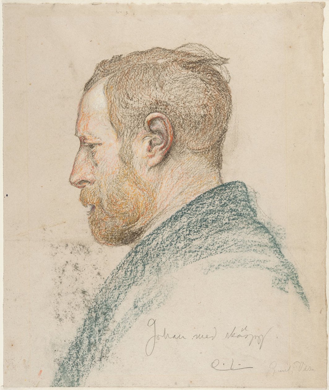 Férfi fej profilból alkotó: Carl Larsson