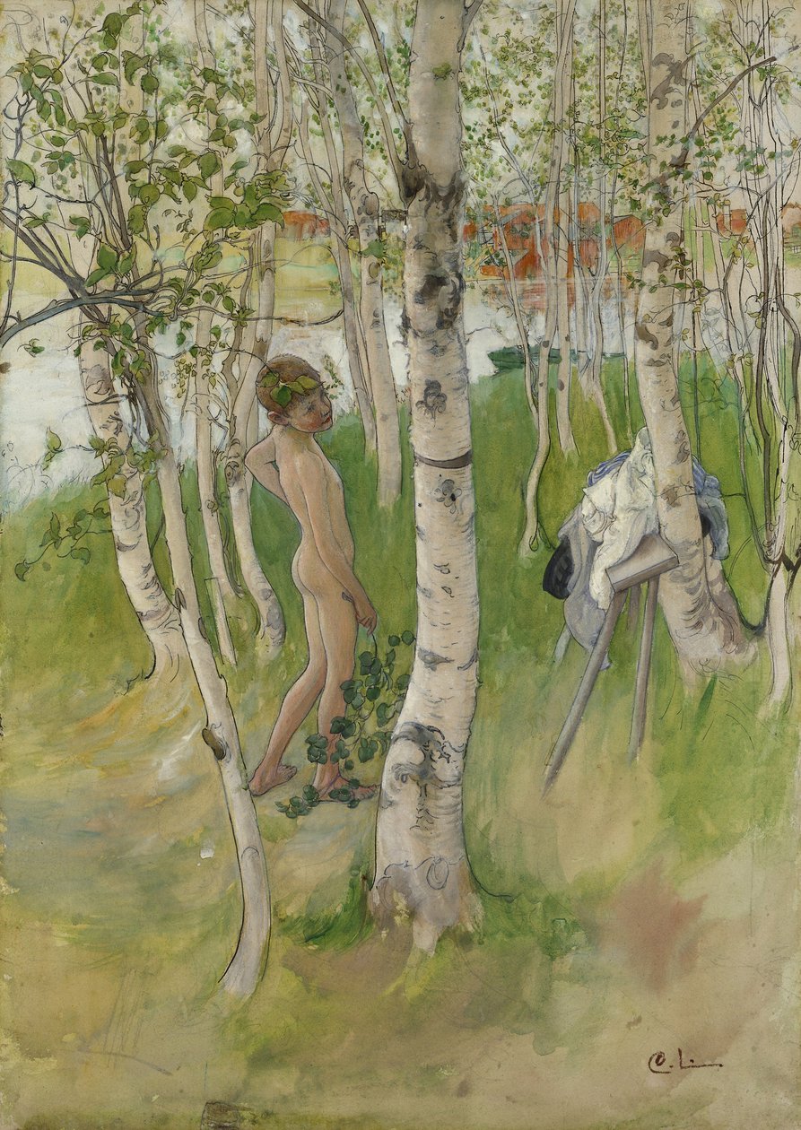 Akt fiú nyírfák között, 1898 (wc papíron) alkotó: Carl Larsson