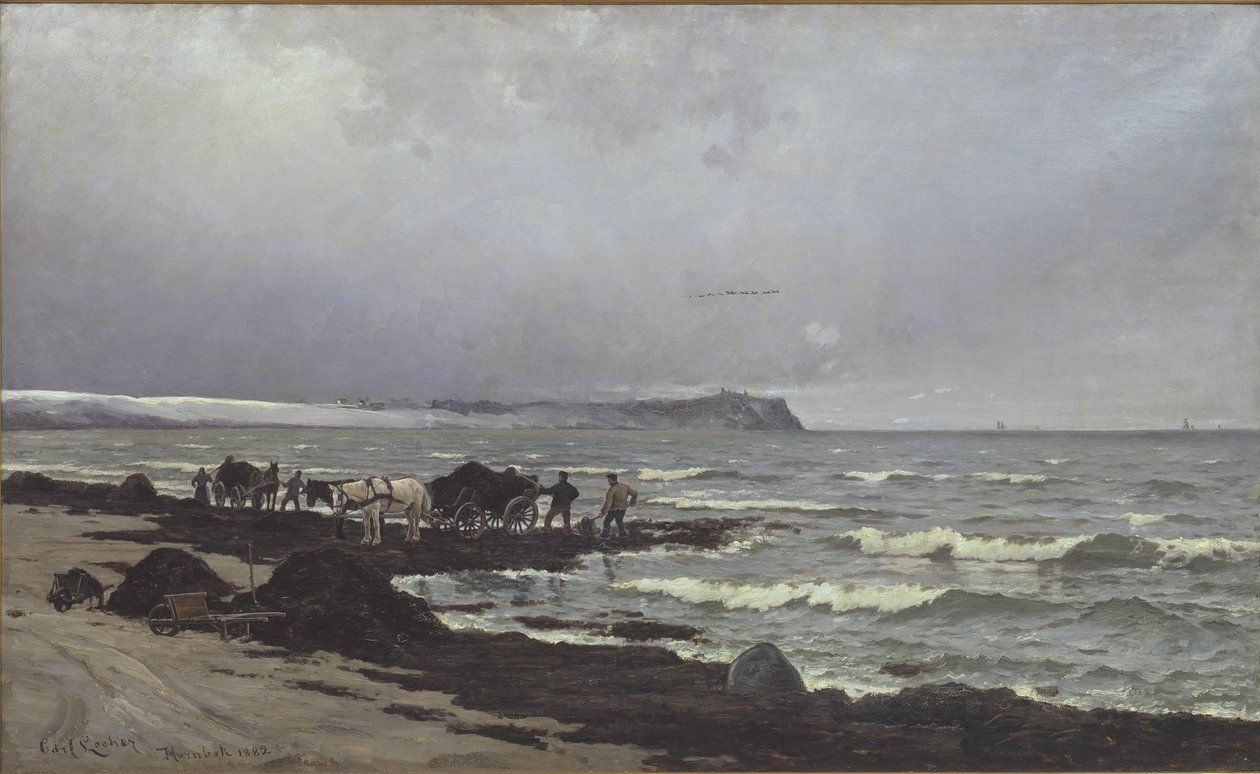 A Hornbæk strandon tengeri moszat rakodnak alkotó: Carl Locher