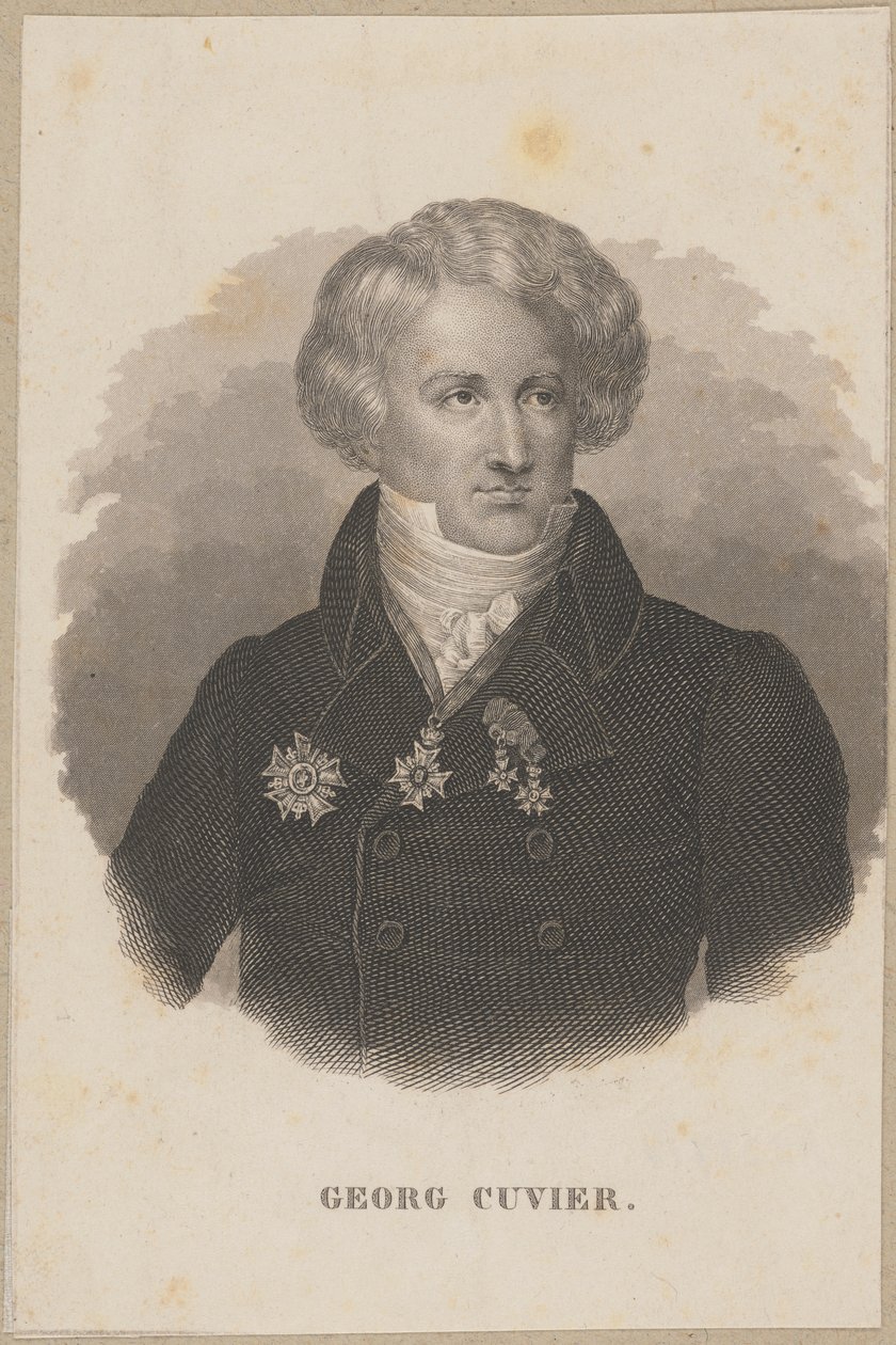 Georges Cuvier (1769 Montbéliard - 1832 Párizs) - francia zoológus, a paleontológia megalapítója alkotó: Carl Mayer