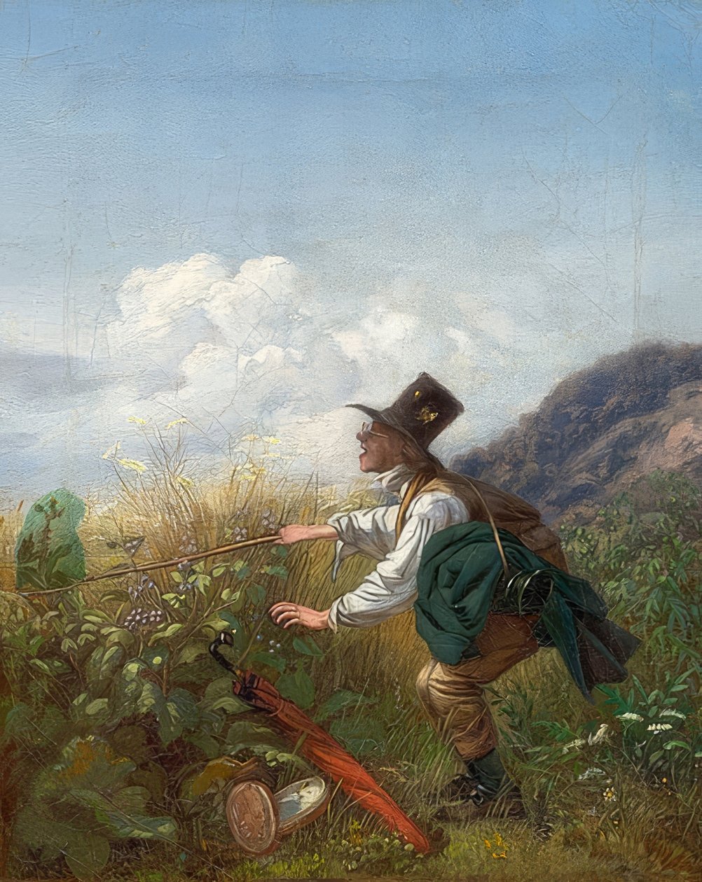 A lepkefogó (botanikus). 1837 körül alkotó: Carl Spitzweg