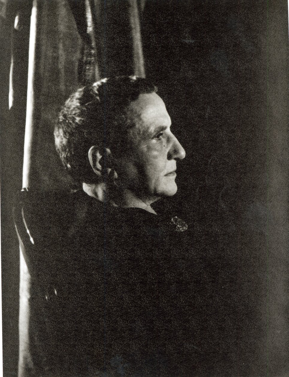 Gertrude Stein (1874-1946) 1934. november 4. (zselatinos ezüstnyomat) alkotó: Carl Van Vechten
