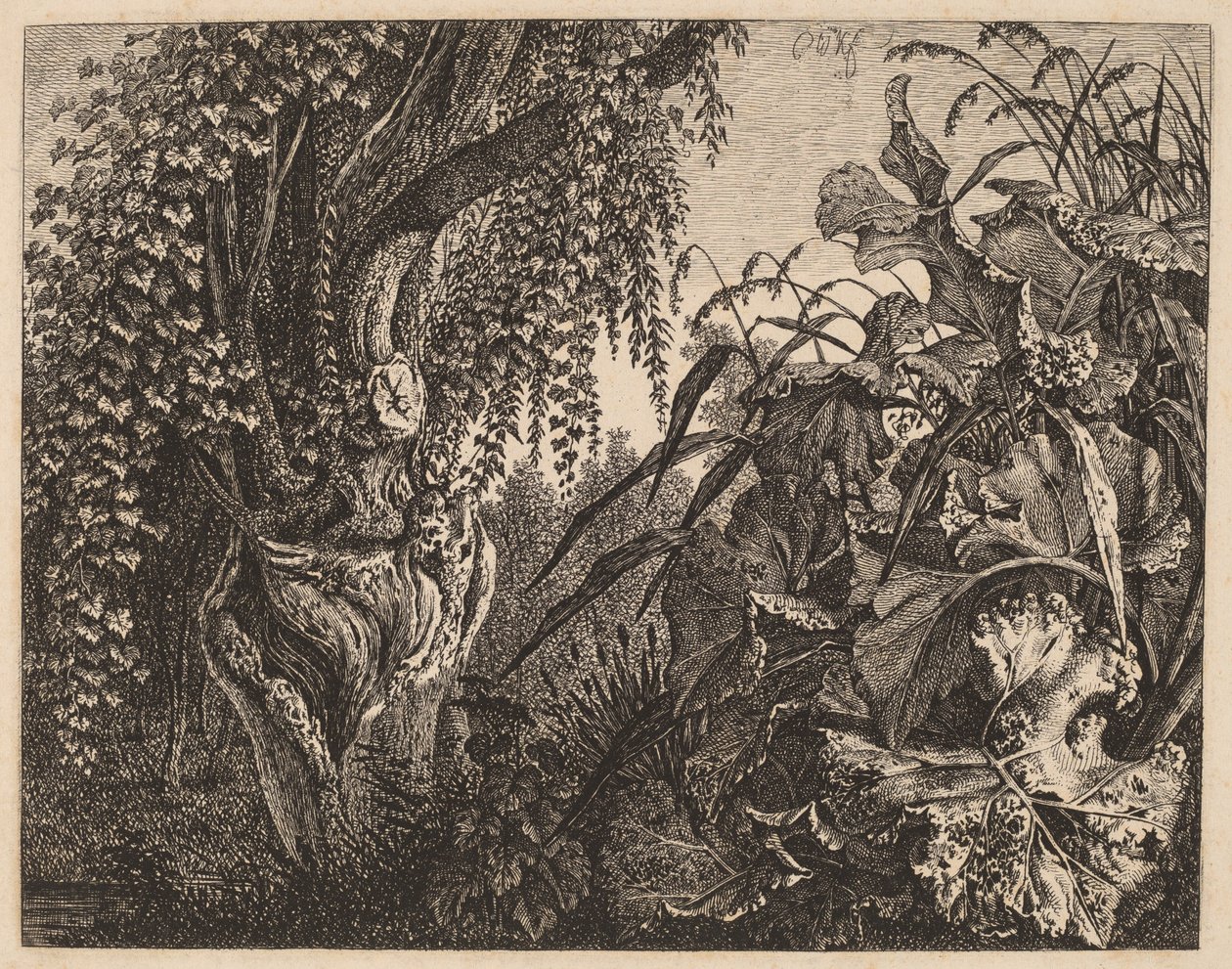 A Thicket; bal oldalon egy göcsörtös fűzfa, jobb oldalon a növényzet sűrűje alkotó: Carl Wilhelm Kolbe