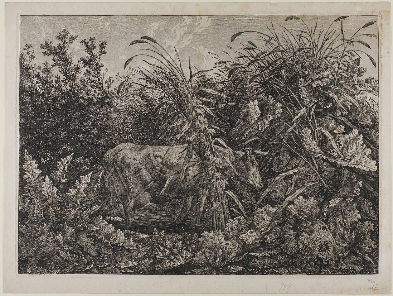 Tehén a patakban alkotó: Carl Wilhelm Kolbe the elder
