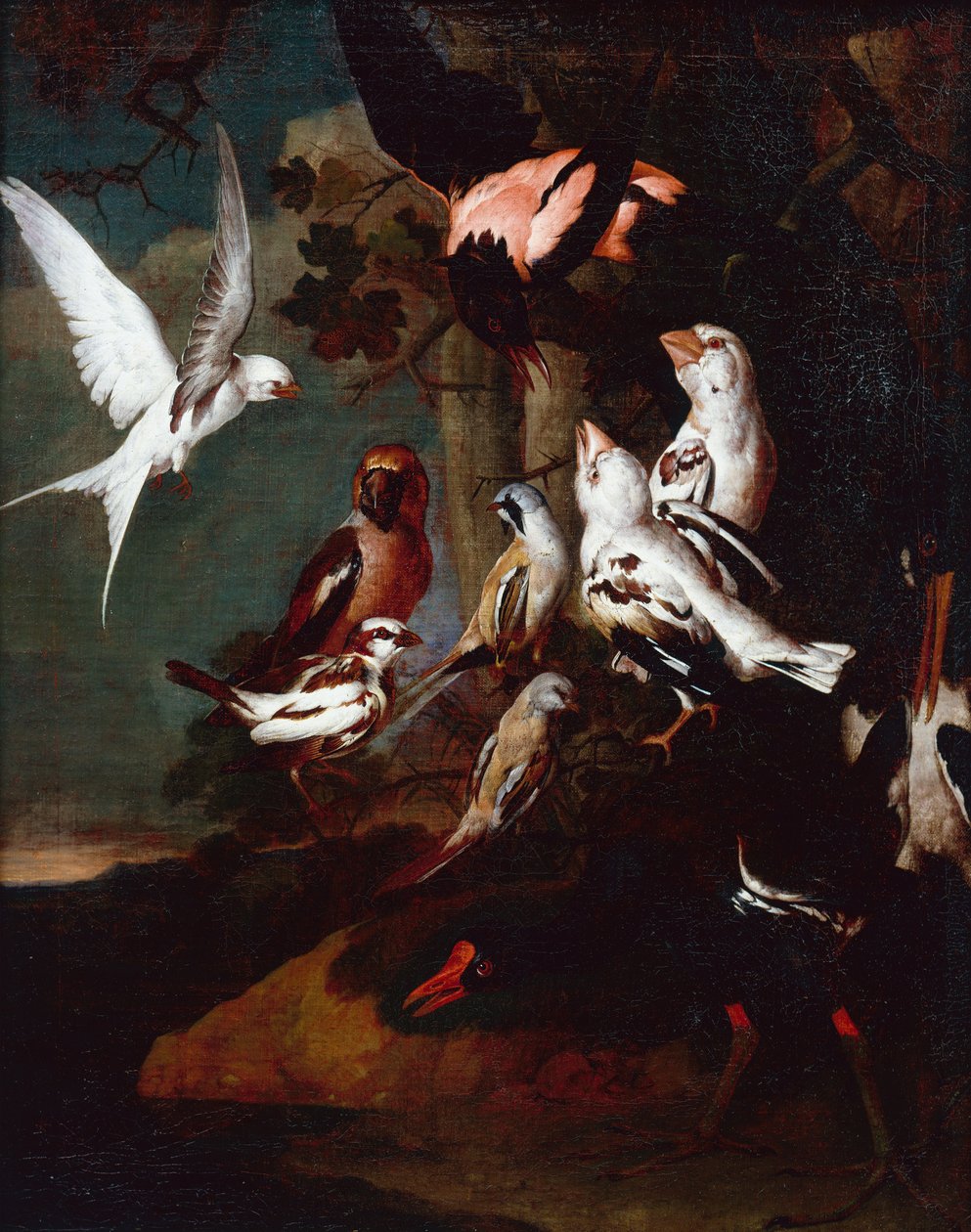 Moorhen, fecske, pintyek és más madarak erdős folyón (olaj, vászon) alkotó: Carl Wilhelm de Hamilton