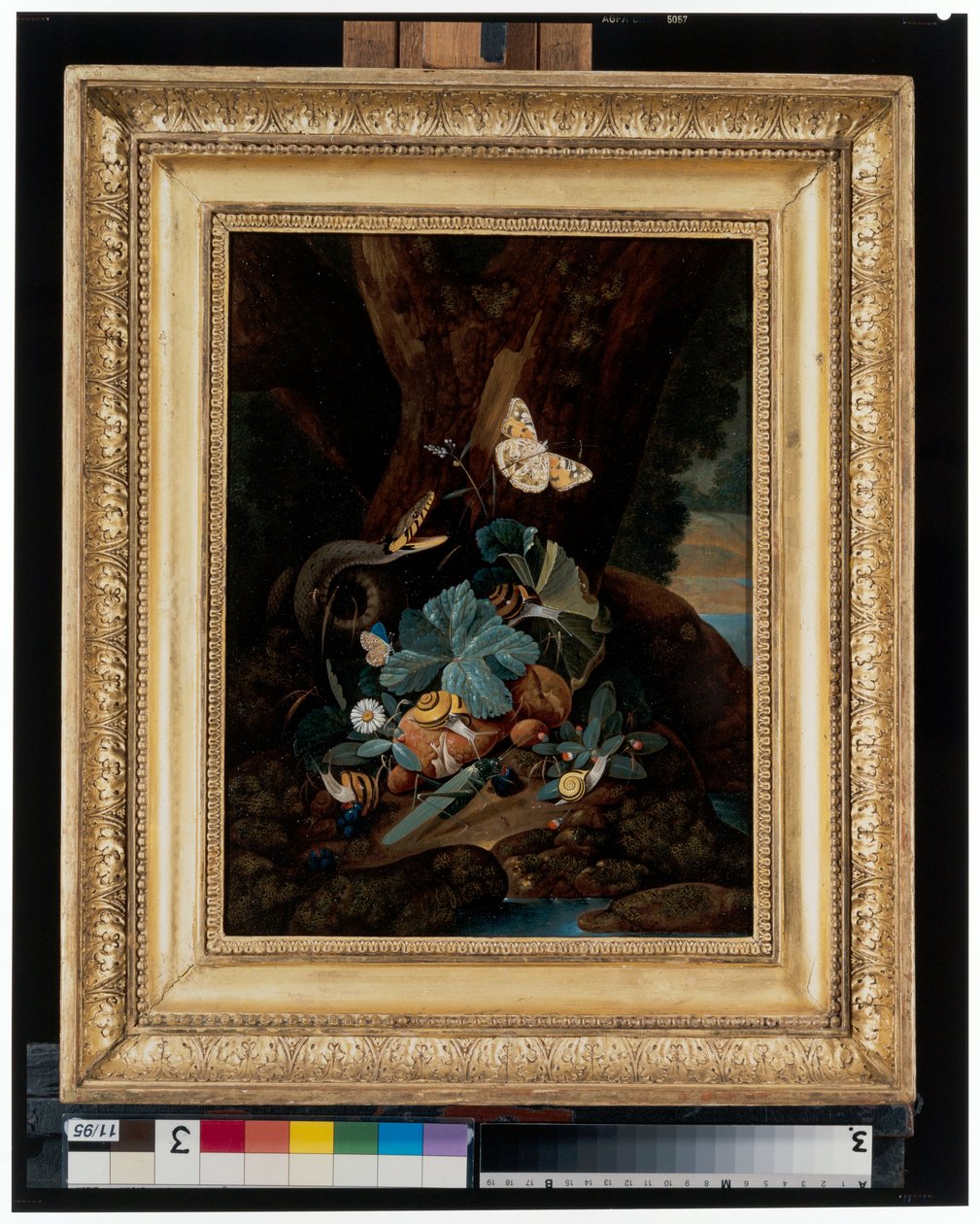 Forest floor still lifes with snails, snakes, lizards and butterflies alkotó: Carl Wilhelm de Hamilton