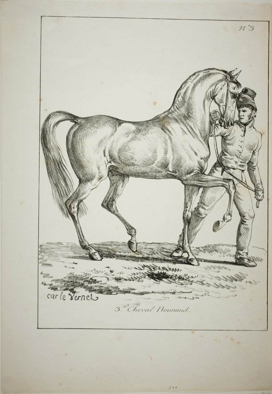 Királyi gárda, Norman Cavalier, nem teljes ruhában, és Ló, 3. sz alkotó: Carle Vernet