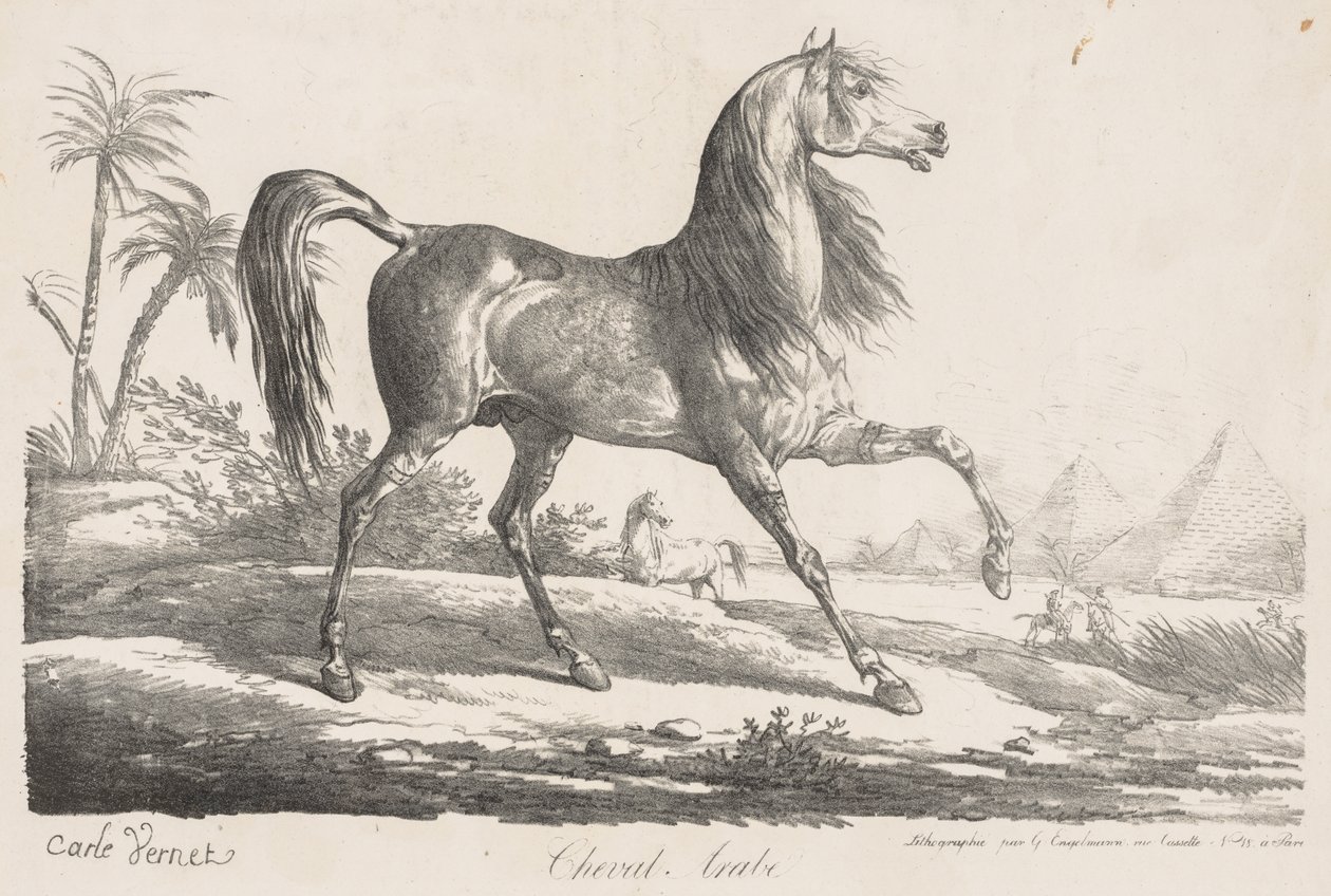 Lovak szvitje: Arab ló alkotó: Carle Vernet