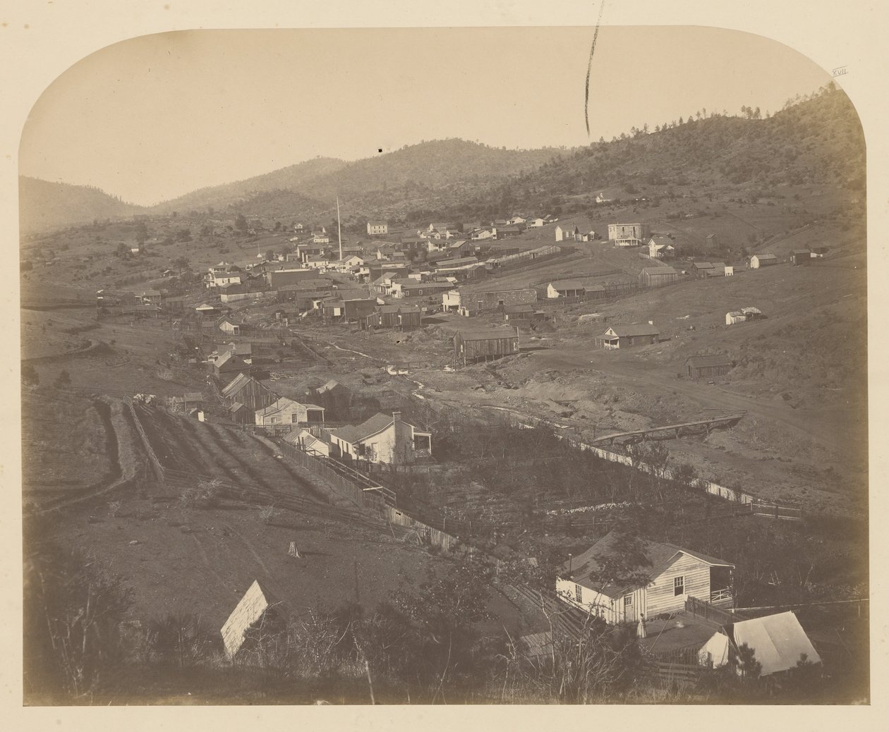 (Mariposa alkotó: Carleton E. Watkins