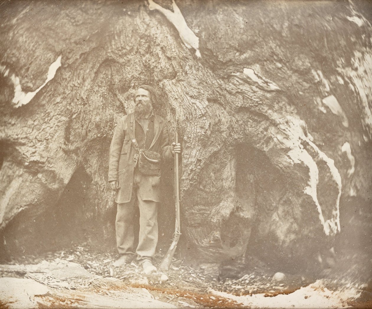 Mariposa liget. Galen Clark. , Galen Clark portréja alkotó: Carleton E. Watkins