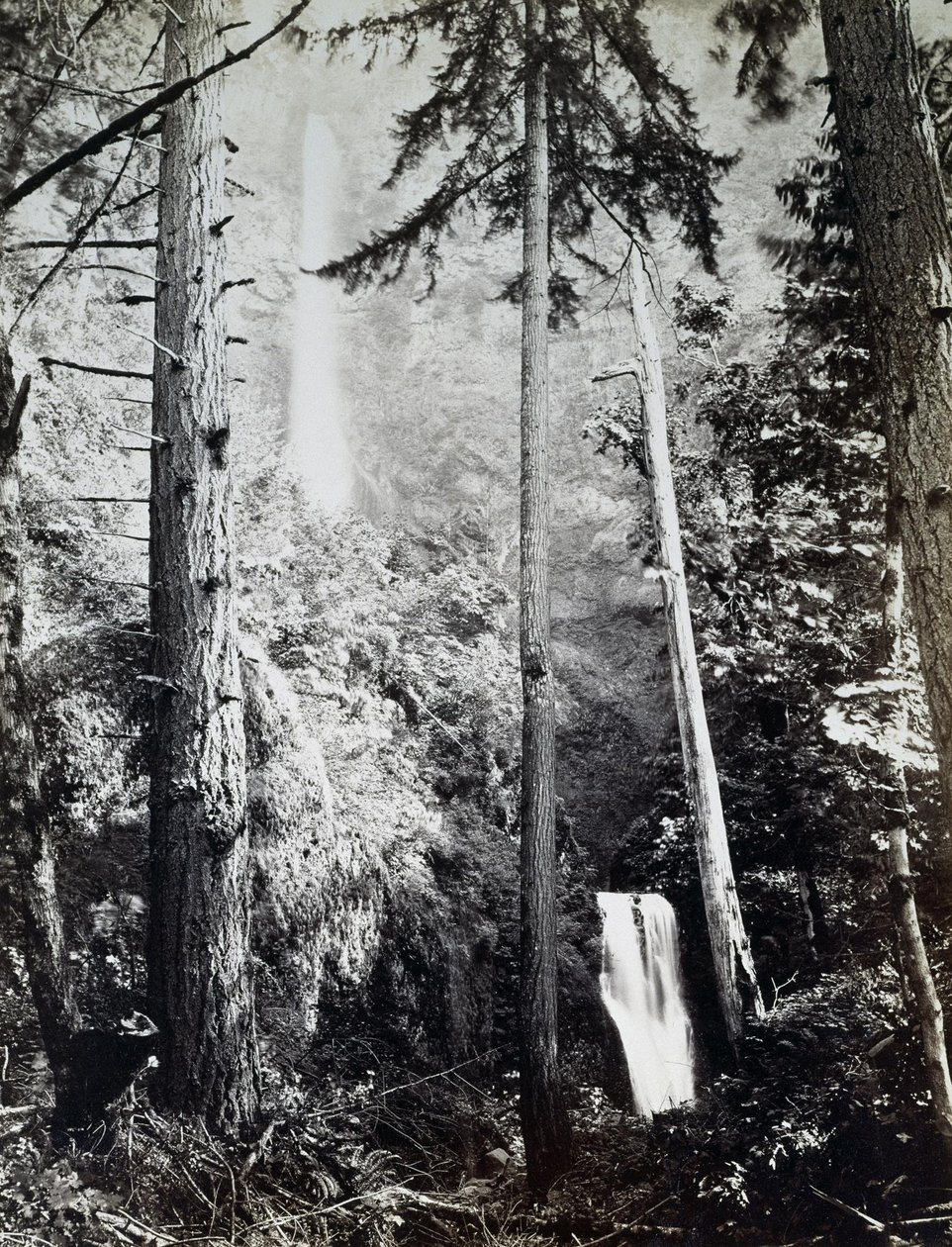 Multnomah -vízesés, Cascades, Columbia -folyó alkotó: Carleton E. Watkins