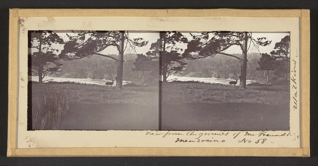 Kilátás Mr. Freundt, Mendocino területéről alkotó: Carleton E. Watkins
