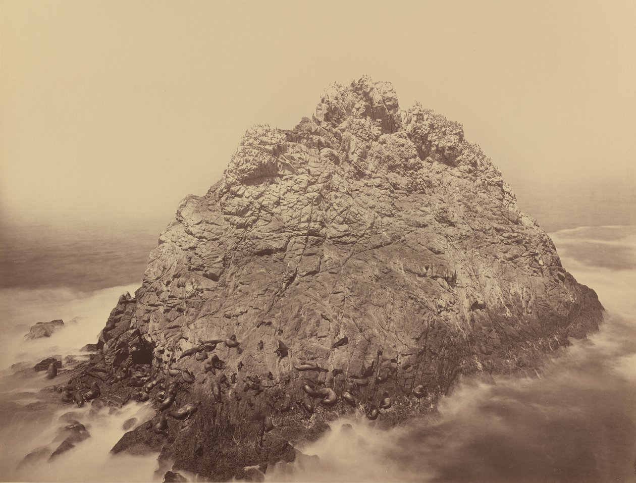 Sugar Loaf Island, Farallons alkotó: Carleton E. Watkins
