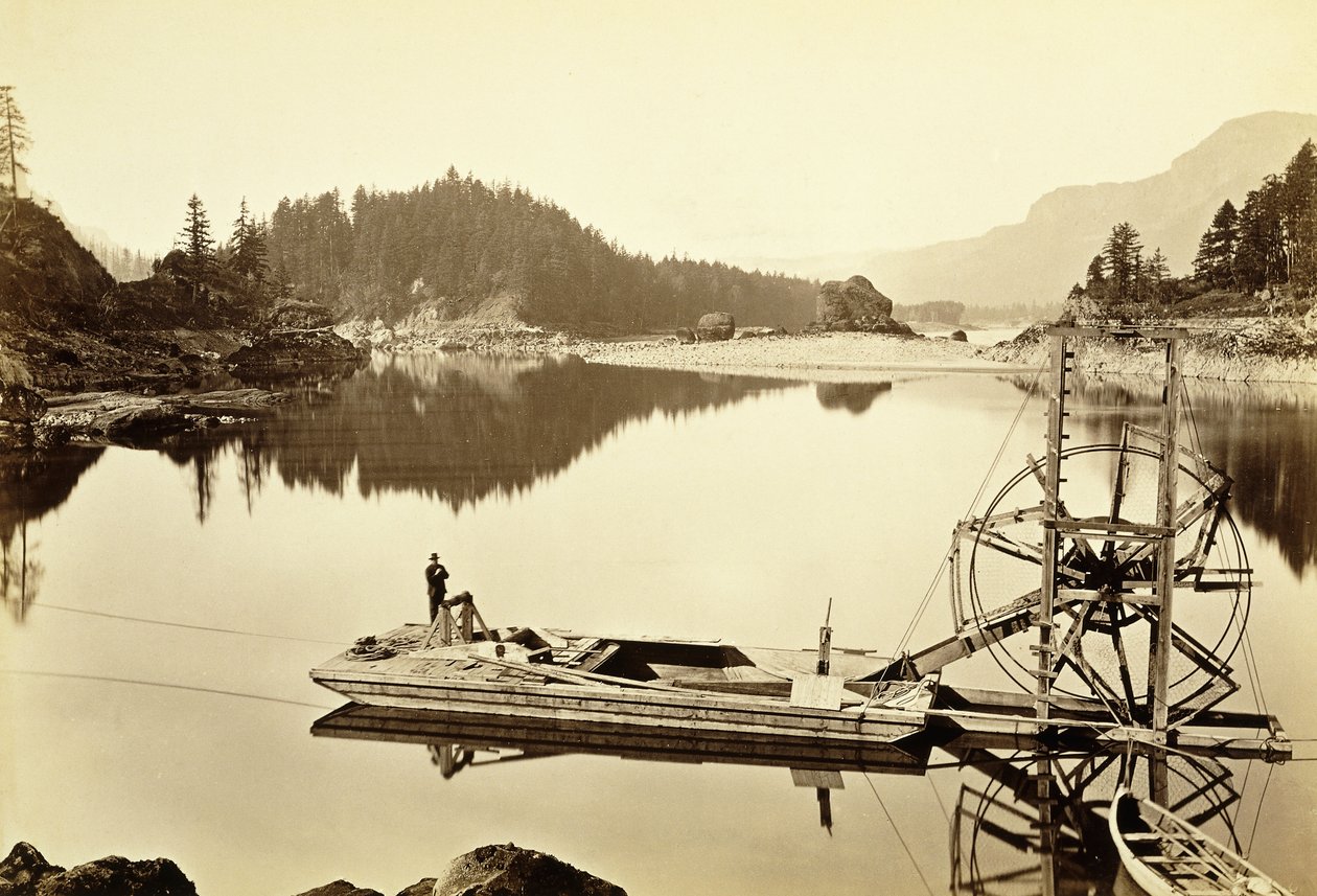 Úszó lazackerék, vízesések, 1867 alkotó: Carleton E. Watkins