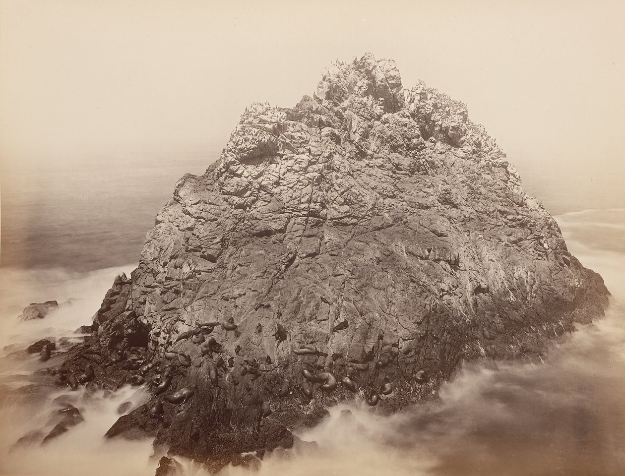 Sugar Loaf Islands, Farallons, 1868-69. alkotó: Carleton Emmons Watkins