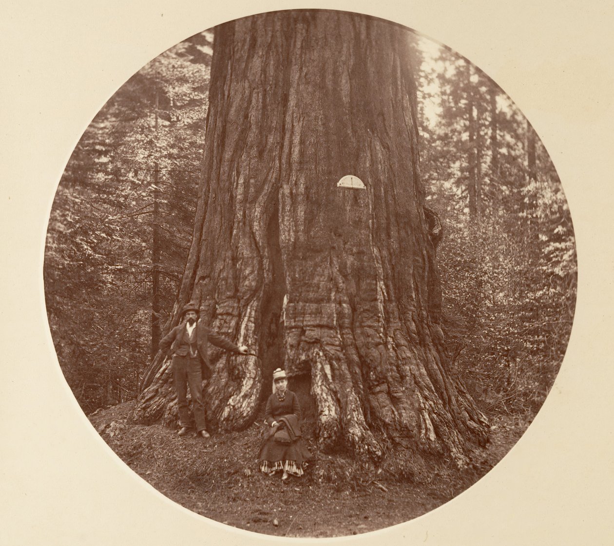 Az Empire State – C. Grove, kb. 1878. alkotó: Carleton Emmons Watkins