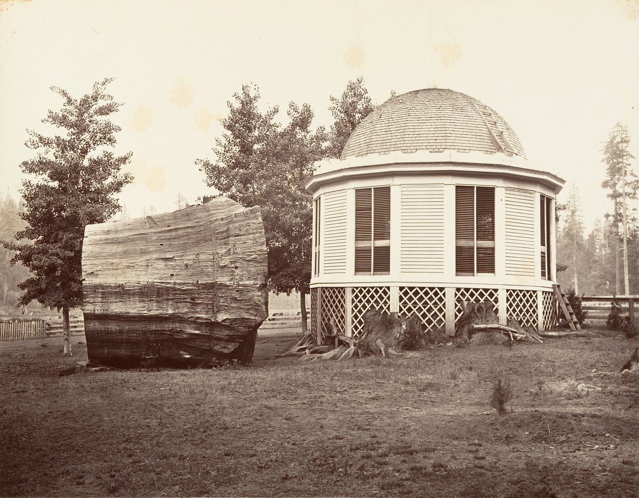 A ház egy nagy fa tuskója fölött, 1865-66, nyomtatott kb. 1876. alkotó: Carleton Emmons Watkins