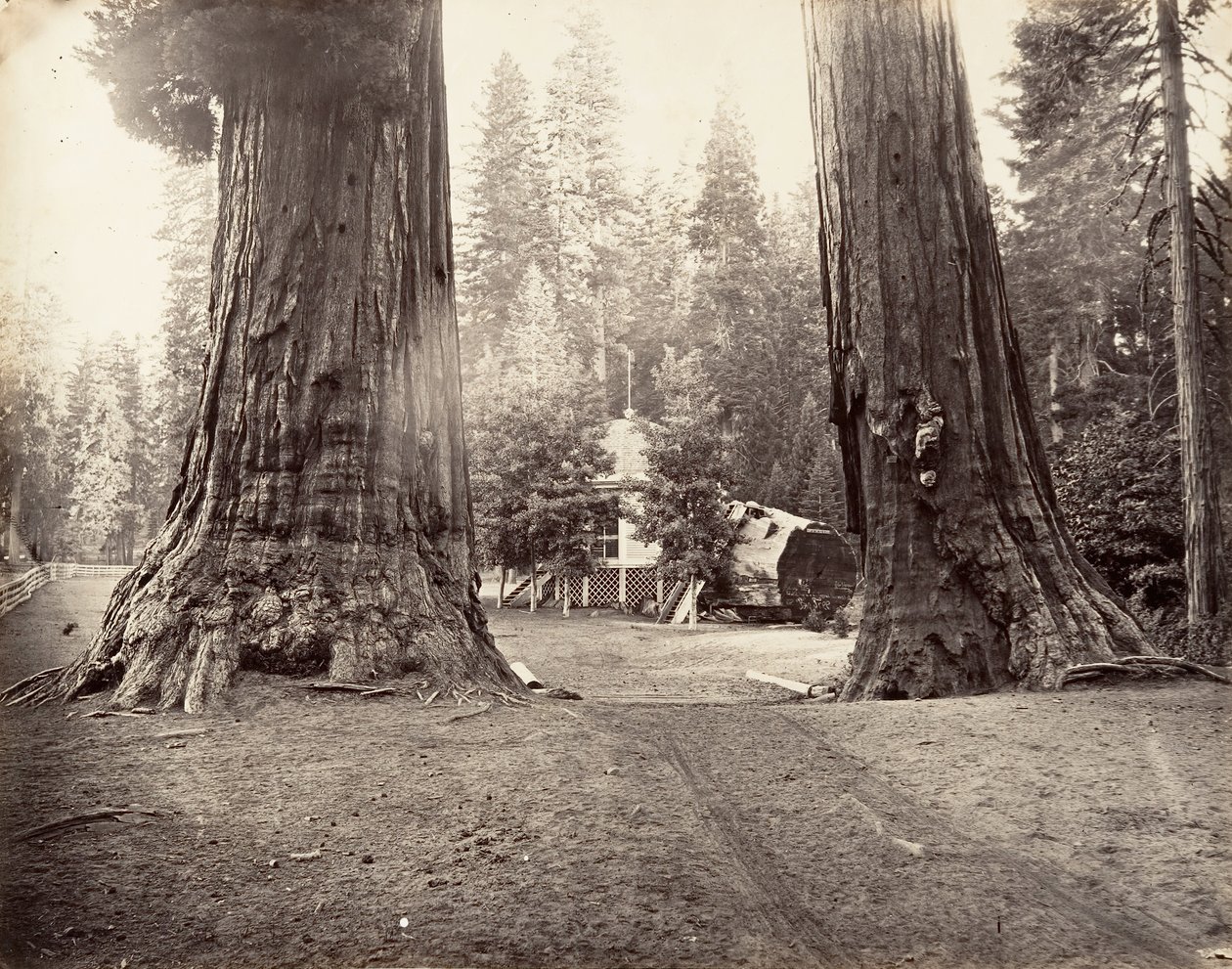The Sentinels, 315 láb, Yosemite, kb. 1872, nyomtatott kb. 1876. alkotó: Carleton Emmons Watkins