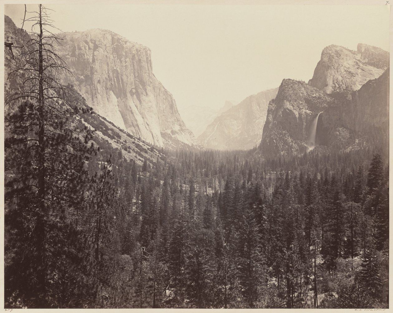 A Yosemite-völgy a Mariposa ösvényről, 1865-1866. alkotó: Carleton Emmons Watkins