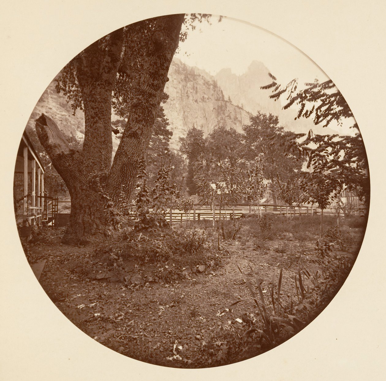 [Yosemite Nemzeti Park, Kalifornia], kb. 1878. alkotó: Carleton Emmons Watkins