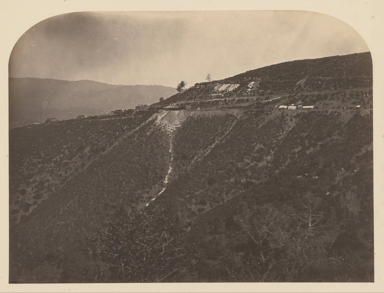 (Fenyőfa bánya) alkotó: Carleton Watkins