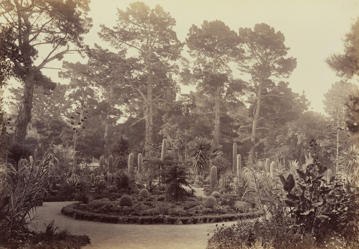 [Arizonai kert, Hotel del Monte, Monterey] alkotó: Carleton Watkins