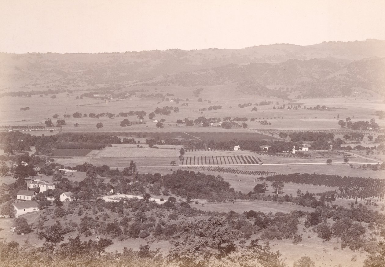 [Calistoga, Kalifornia?] alkotó: Carleton Watkins