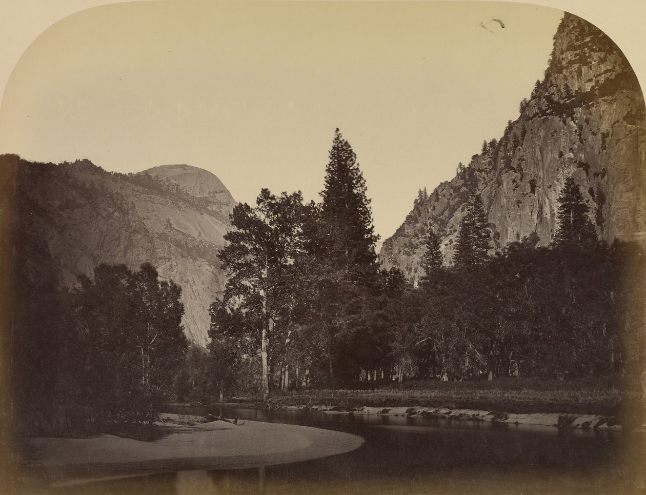 Camp Grove – Yo Semite alkotó: Carleton Watkins