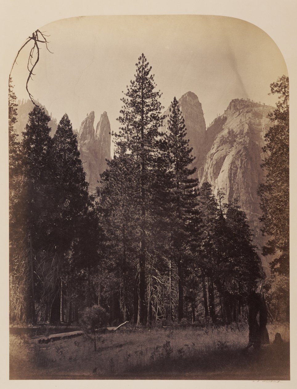 Katedráliscsúcsok - Yosemite alkotó: Carleton Watkins