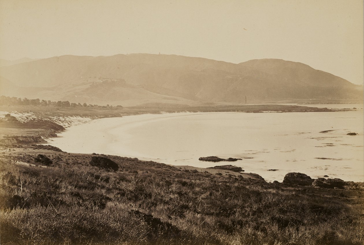 [Parti látkép, Monterey] alkotó: Carleton Watkins
