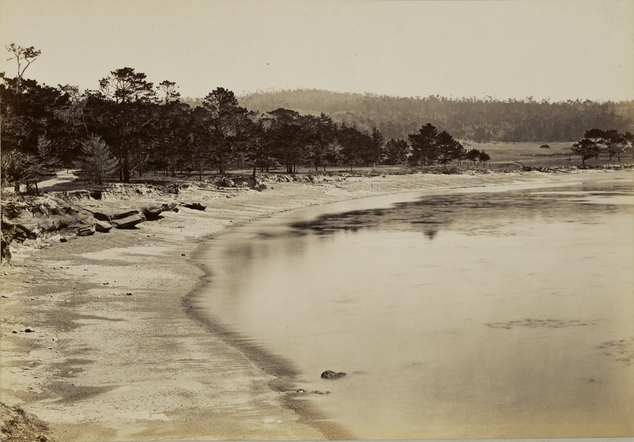[Tengerparti kilátás Monterey közelében] alkotó: Carleton Watkins
